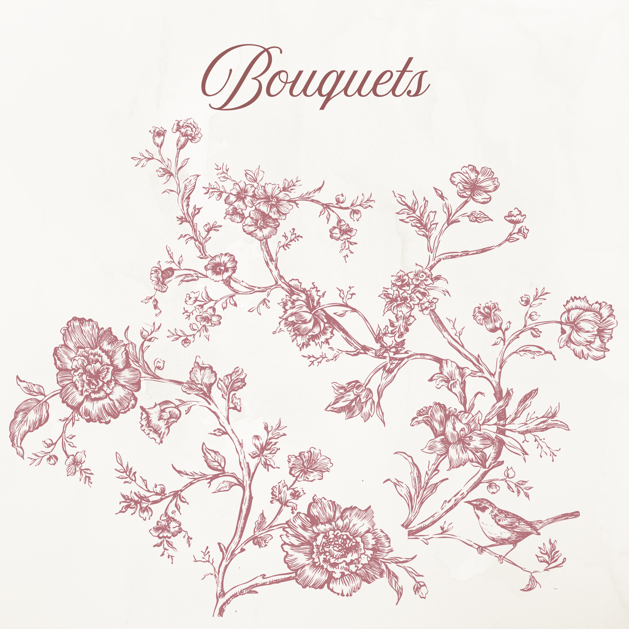 Rococo Affair Pink Toile Botanical Illustration Set PNG & SVG