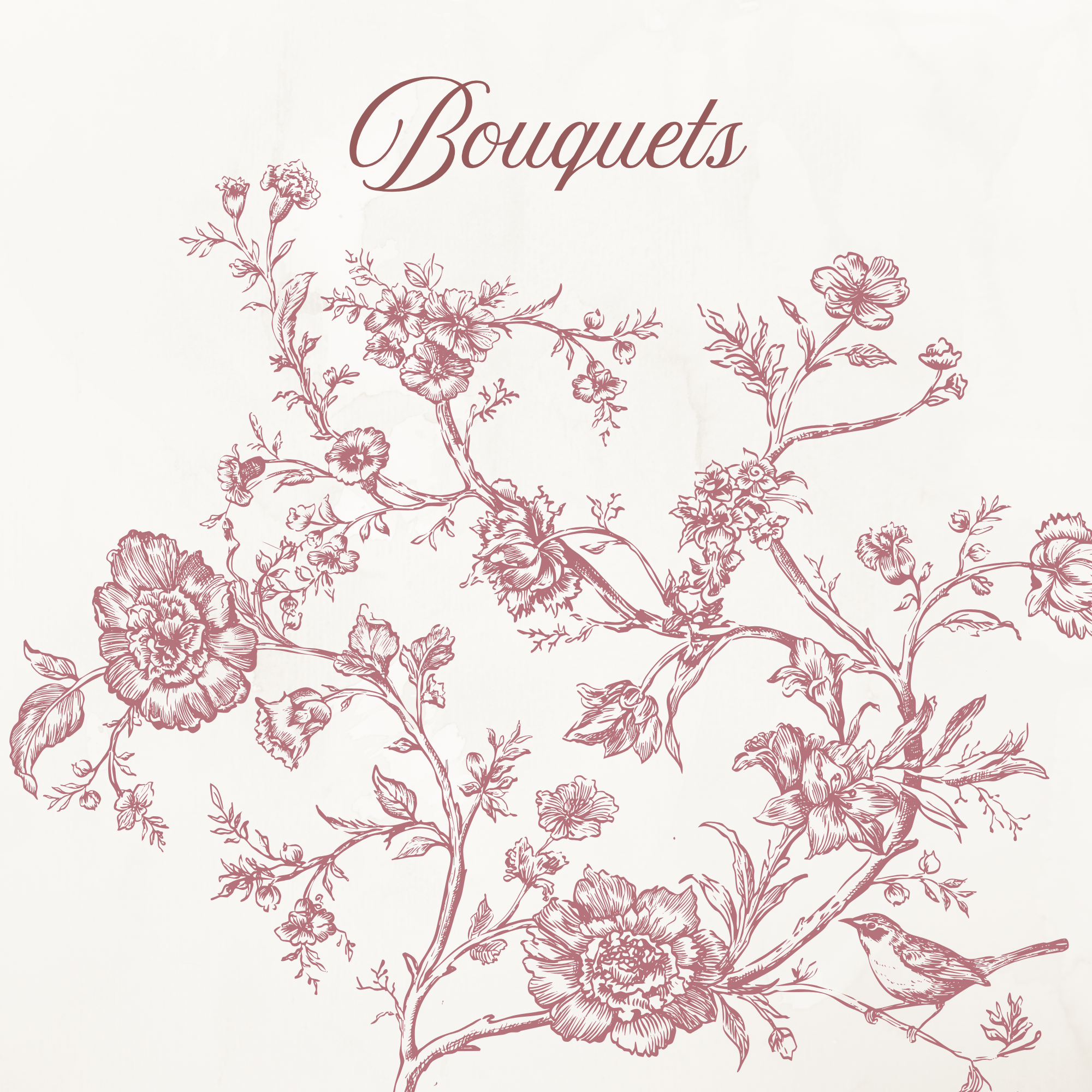 Rococo Affair Pink Toile Botanical Illustration Set PNG & SVG