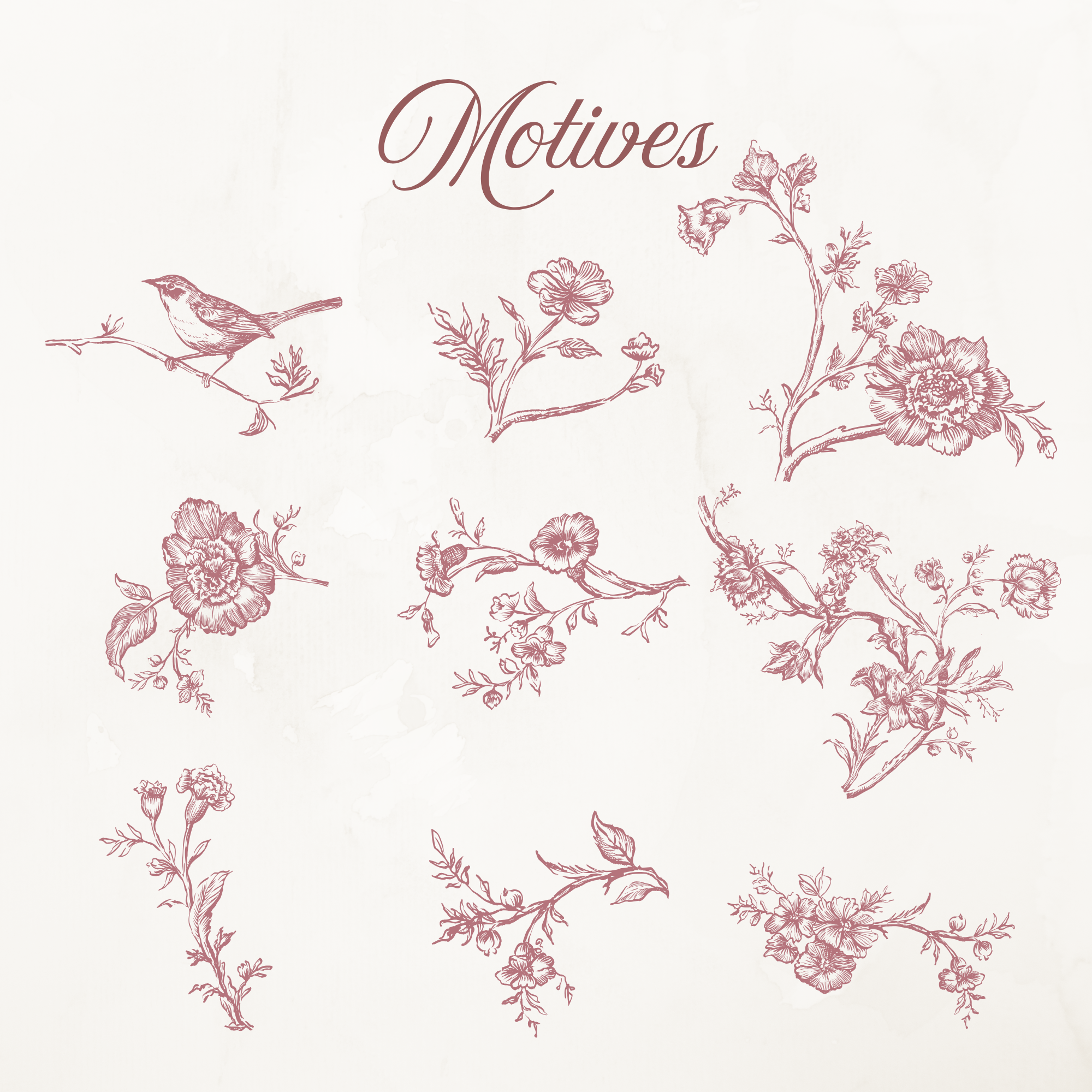 Rococo Affair Pink Toile Botanical Illustration Set PNG & SVG
