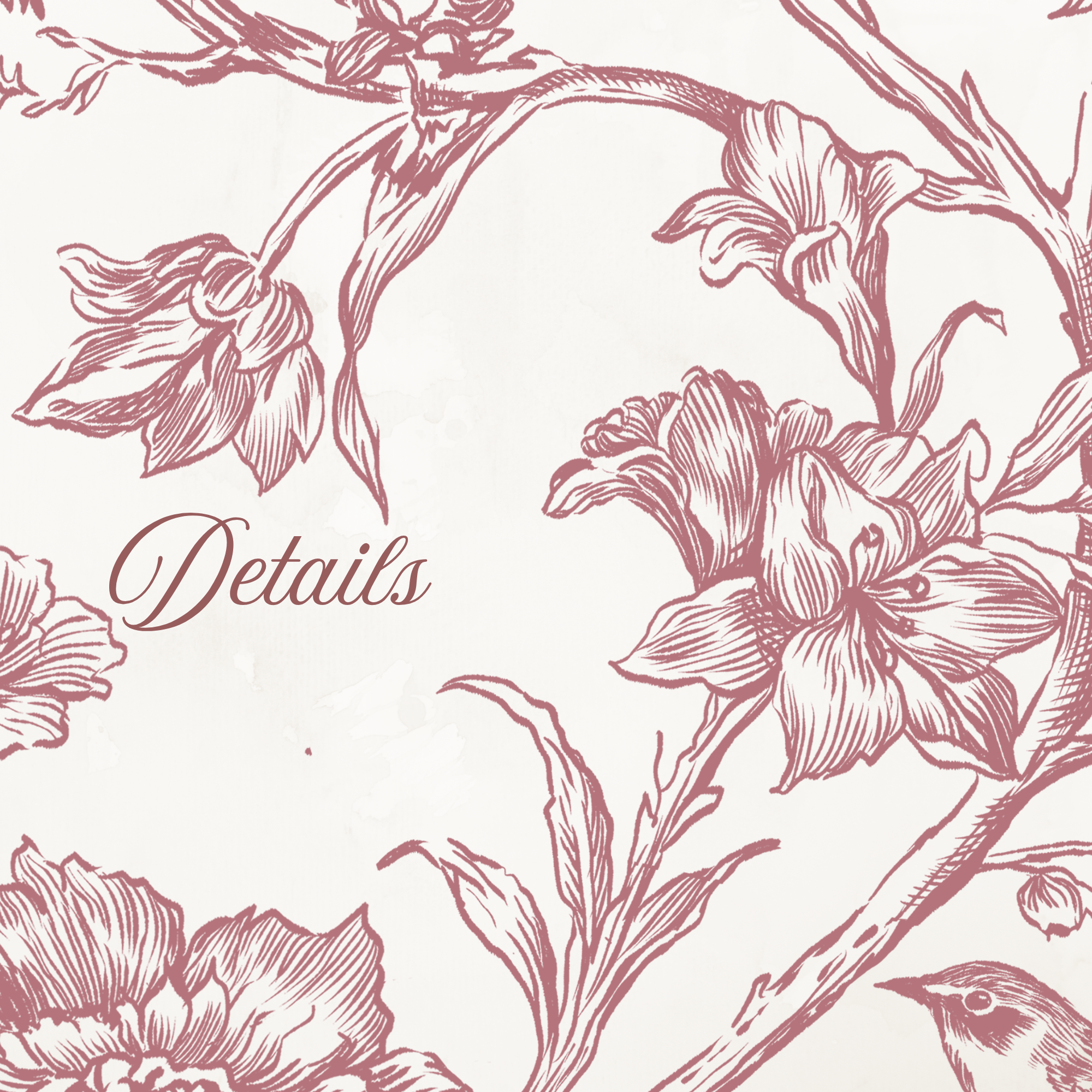 Rococo Affair Pink Toile Botanical Illustration Set PNG & SVG