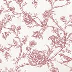 Rococo Affair Pink Toile Botanical Illustration Set PNG & SVG