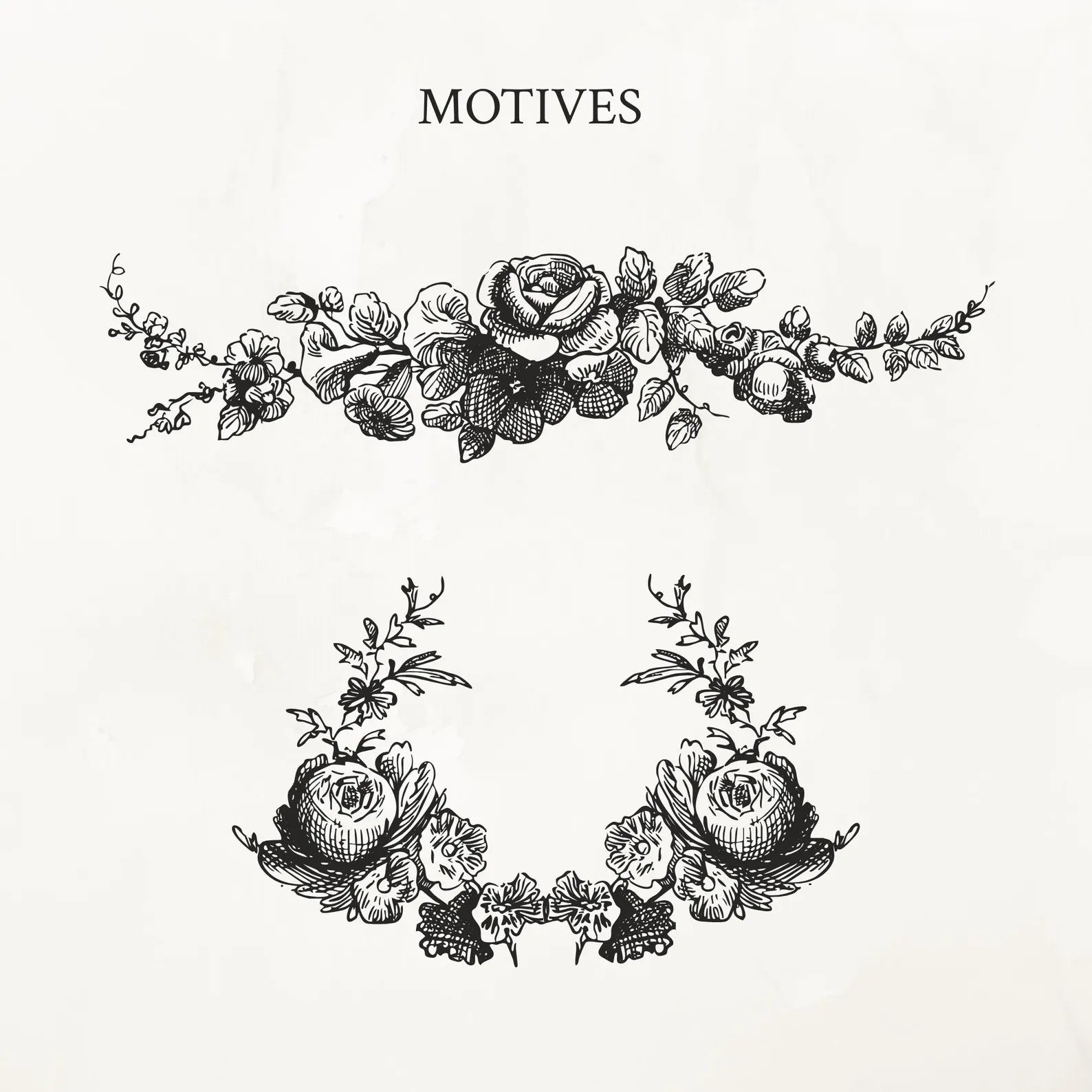 Vintage Botanical Floral Frame Illustration Set PNG & SVG