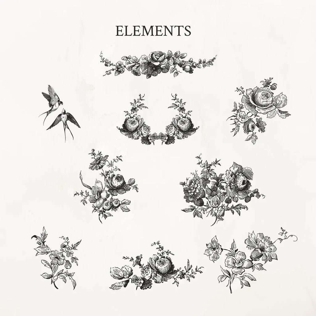 Vintage Botanical Floral Frame Illustration Set PNG & SVG