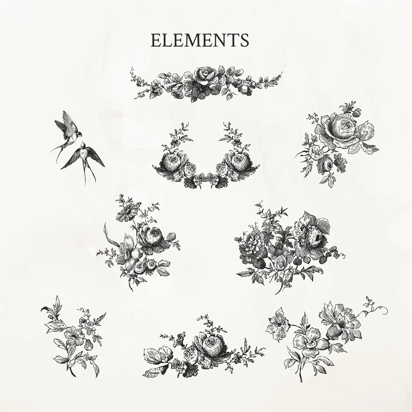 Vintage Botanical Floral Frame Illustration Set PNG & SVG