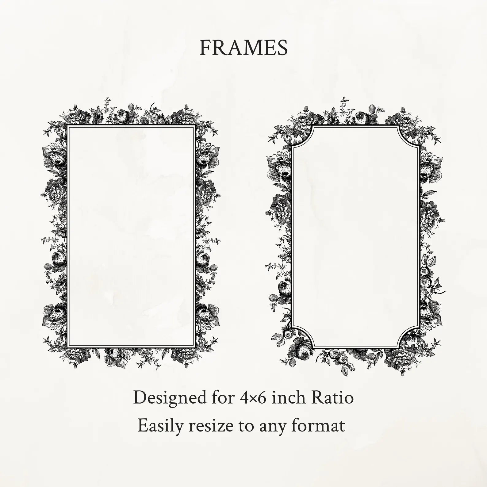 Vintage Botanical Floral Frame Illustration Set PNG & SVG