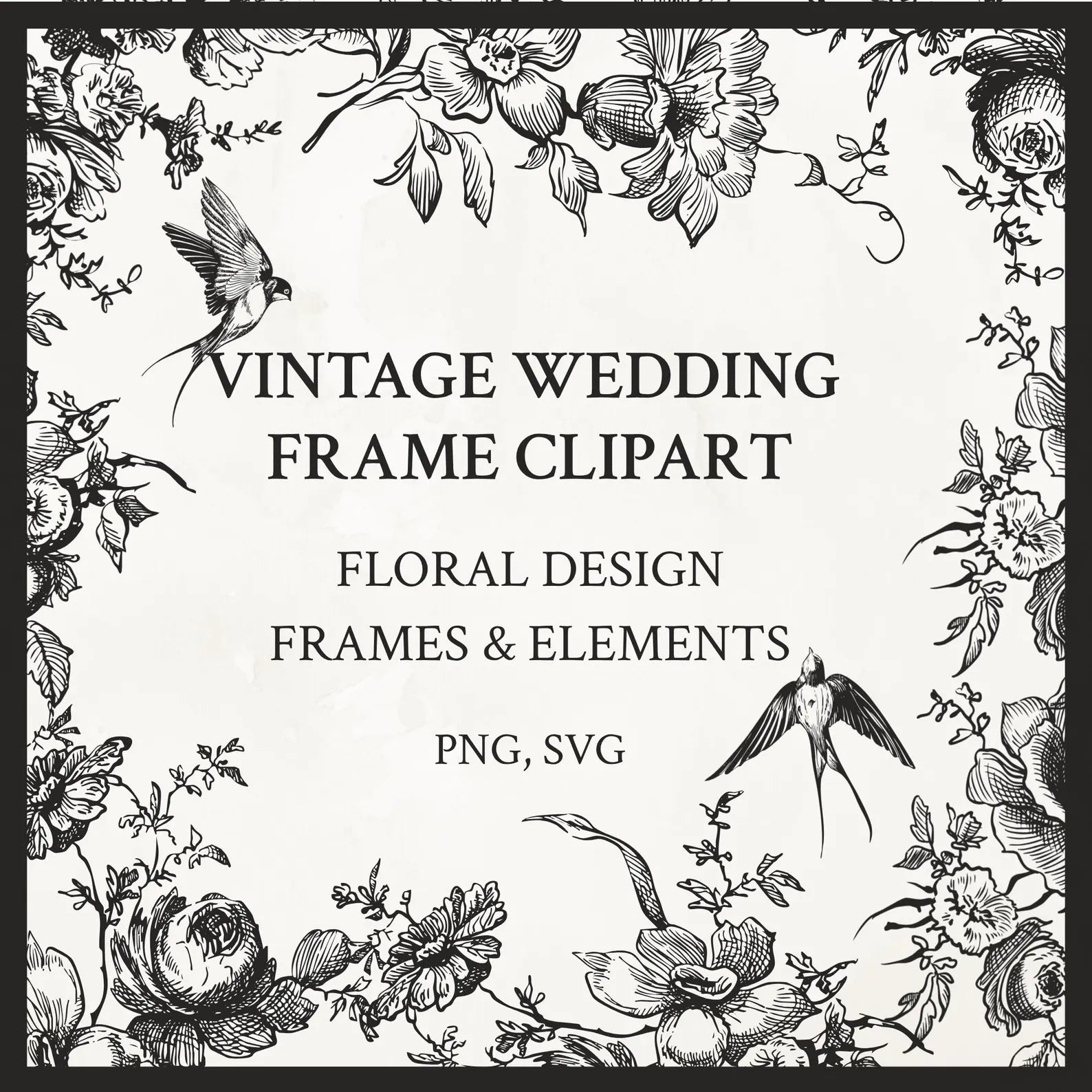Vintage Botanical Floral Frame Illustration Set PNG & SVG