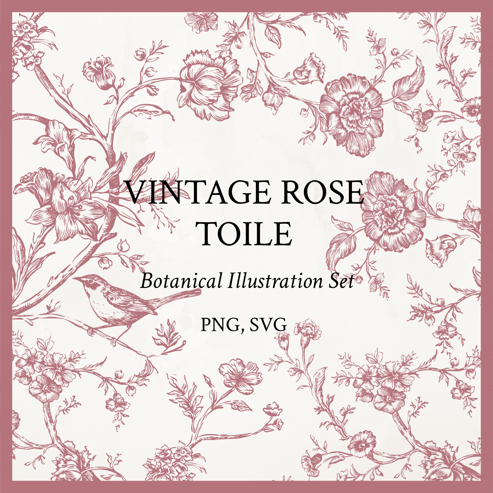 Rococo Affair Pink Toile Botanical Illustration Set PNG & SVG